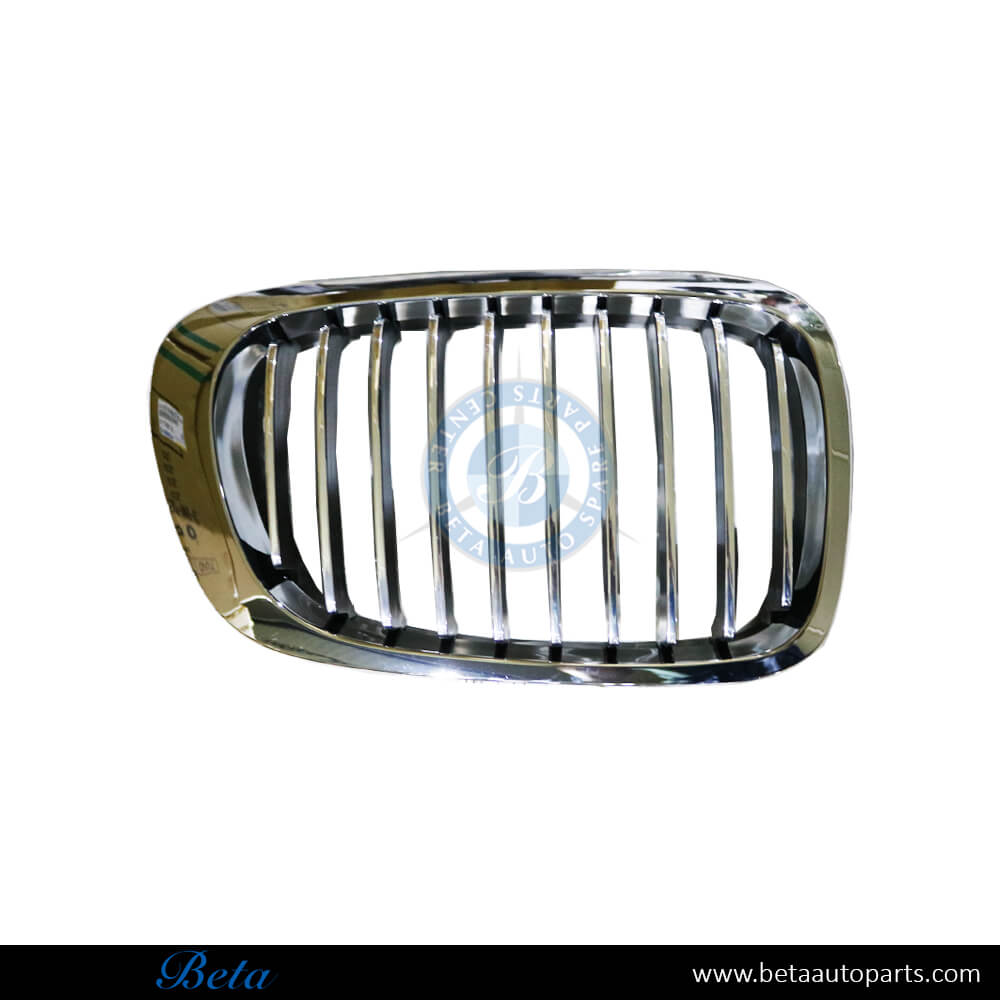 Right Side Grille for BMW 3 Series E46 1998-2001 models, Part Number 51138208686 Right Side Grille for BMW 3 Series E46 1998-2001 models, Part Number 51138208686